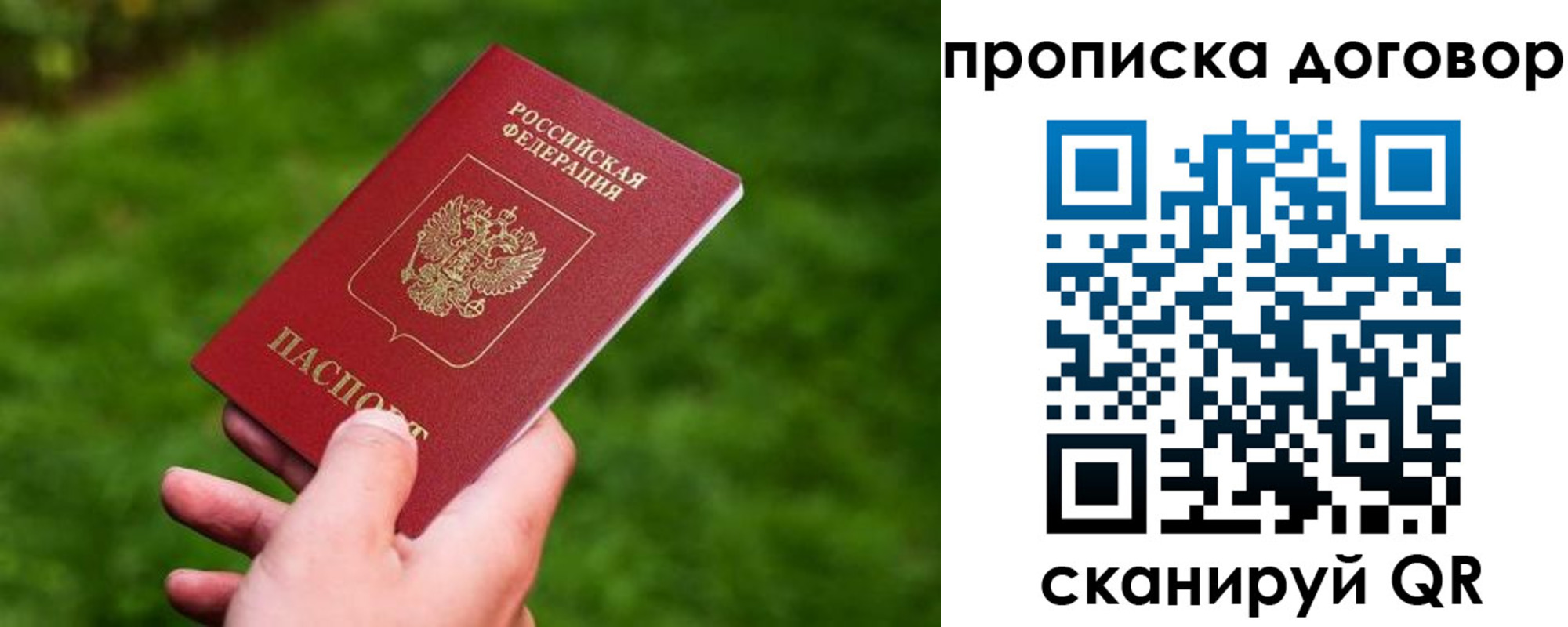 прописка гарантия в Порхове